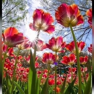 Have A Wonderful Day